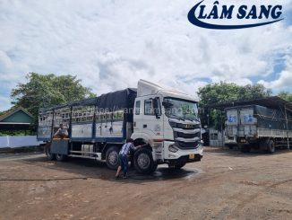 Cho thuê xe tải chở hàng tại Huyện Hoà Thành